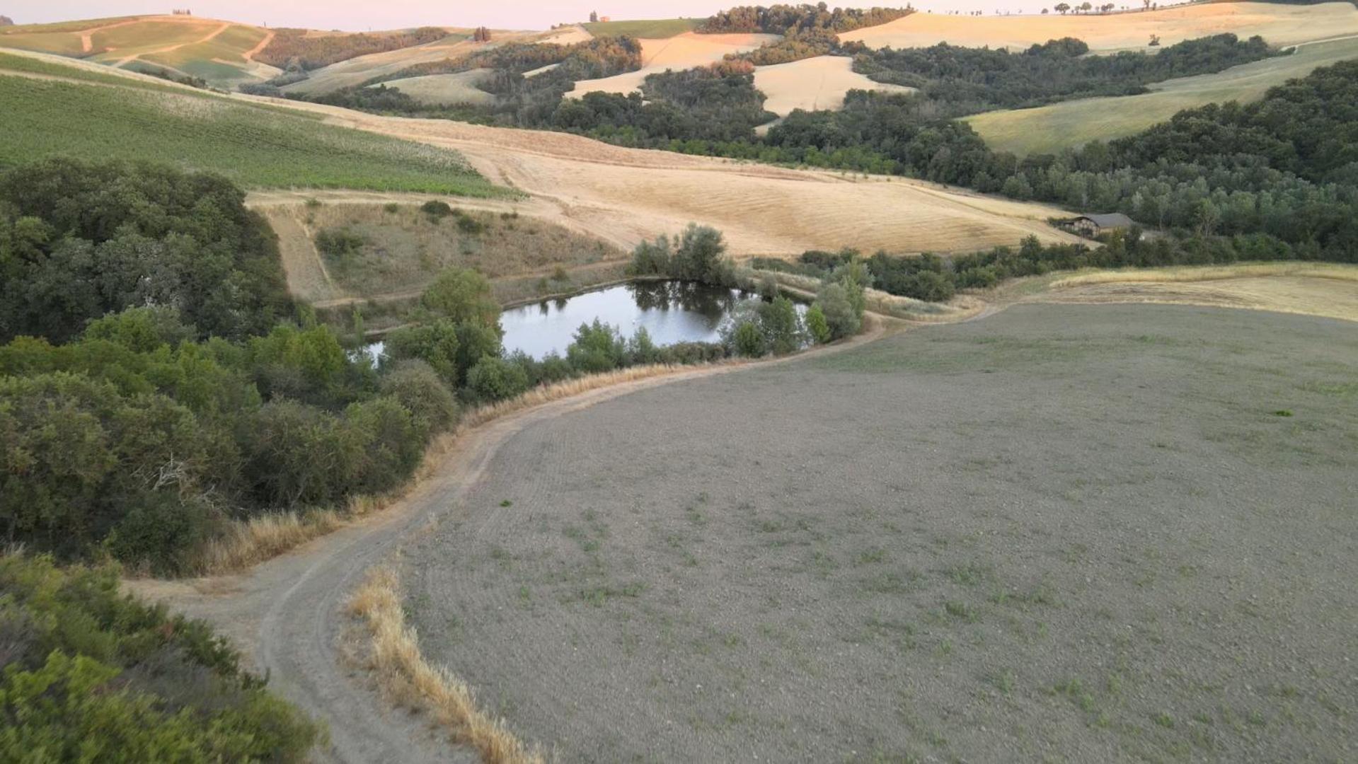 Agriturismo Il Torrione Lecchi Kültér fotó